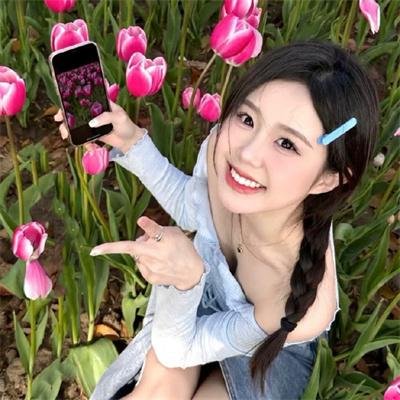 艳舞樱都 封面